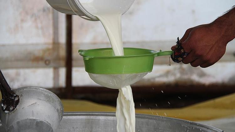 Bakan Pakdemirli Çiğ süt desteği yarın ödenecek