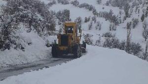 Adıyaman'da 111 köy ve mezra yolu kardan kapandı