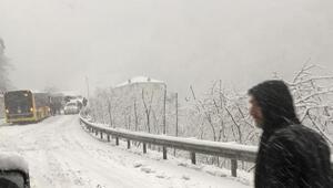 Son dakika... Trabzon'da araçlar yolda kaldı, Bartın'da okullar tatil edildi.. İstanbul'da kar yağacak mı? Canlı yayında yanıt verdi