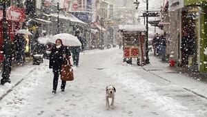 Bartın'da 28 köy yolu kardan kapandı, 55 köyde elektrik yok