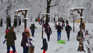 Doğu Karadeniz'de 217 köy yolu kardan kapandı, 5 ilçede okullar tatil edildi! Mahsur kalanlar kurtarıldı