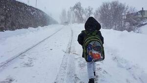 Kars'ta il genelinde okullar tatil edildi