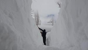 Türkiye'de en fazla karın yağdığı Bitlis'te bu kış yağan karın kalınlığı 9 metreye yaklaştı