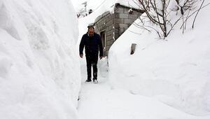 Bitlis'te kar esareti! Evlerine kar tünellerinden ulaşıyorlar: 'Mart ayında ilk defa bu kadar çok kar gördüm'