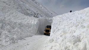 Van'da kar esareti! Yollar kapandı, okullar tatil edildi