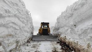 Beytüşşebap'ta köy yollarında karla mücadele devam ediyor