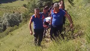 Kayalıklardan düşerek yaralandı, AFAD ekipleri kurtardı