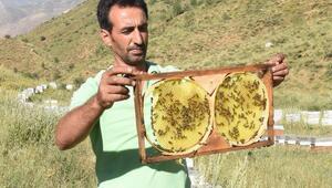 Bitlis'te arıcılar bu yıl bal rekoltesinin yüksek olmasını bekliyor