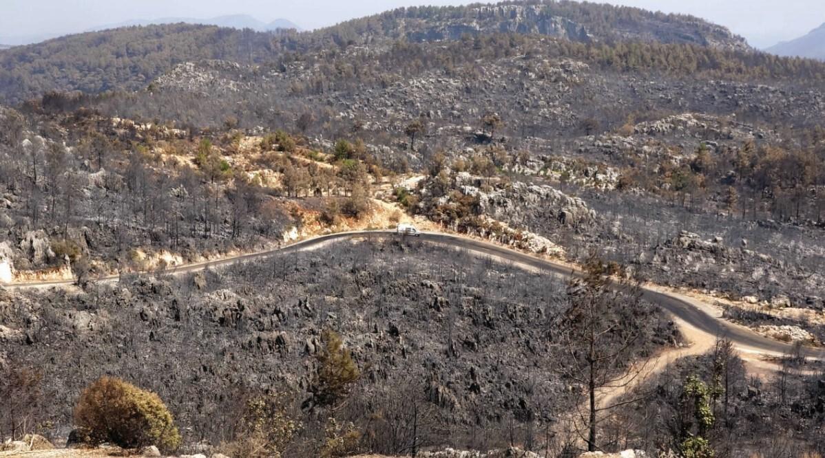 Nihayet nefes aldık! Antalya, Bodrum ve Marmaris'teki orman yangınları söndürüldü!