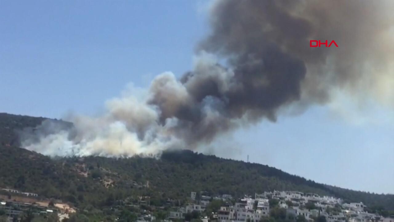 Son dakika: Bodrum'da yeni yangın! Yerleşim alanına 150 metre uzaklıkta... Ev ve oteller boşaltılıyor!