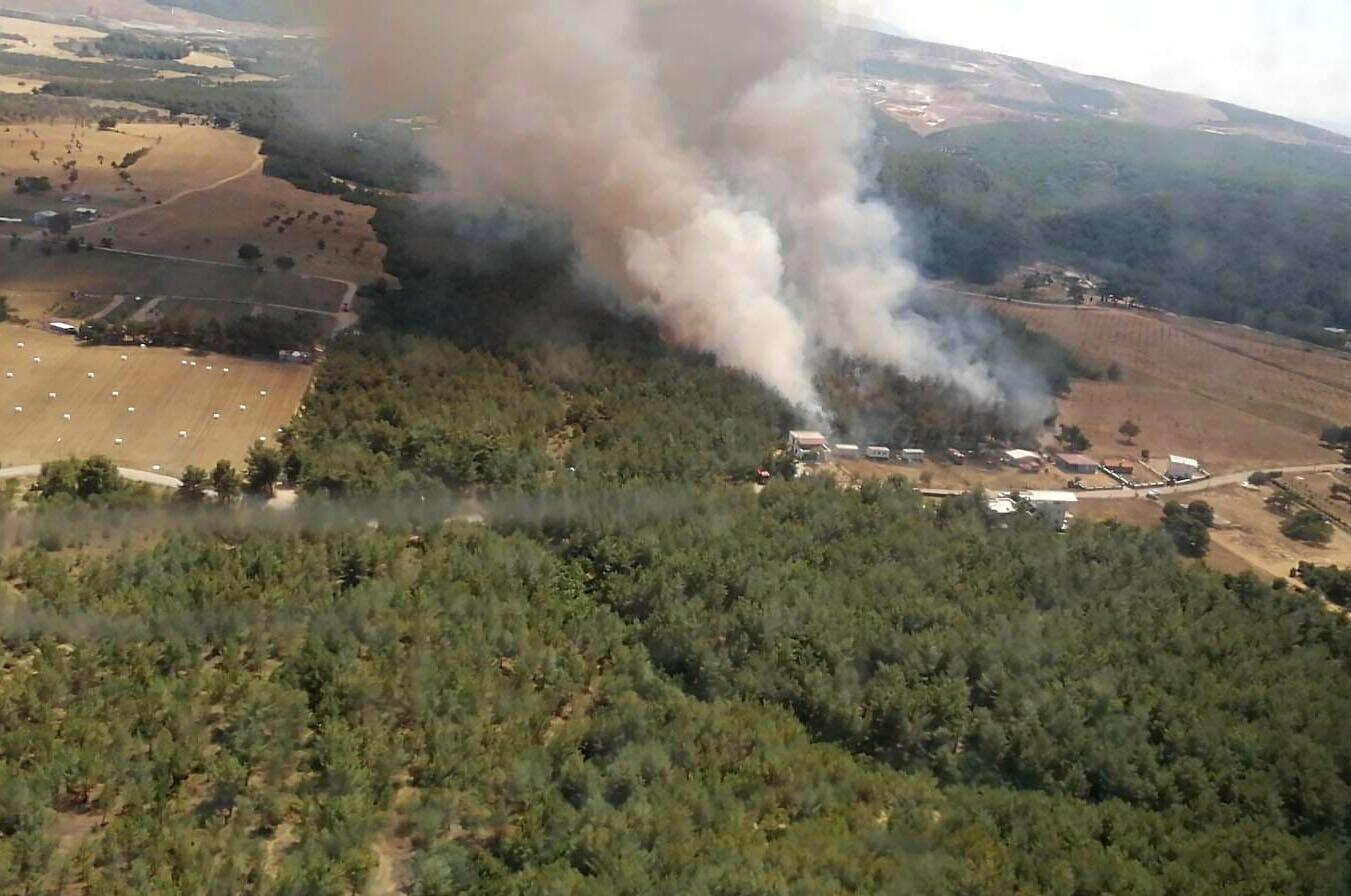 Son dakika... İzmir Bornova'da orman yangını