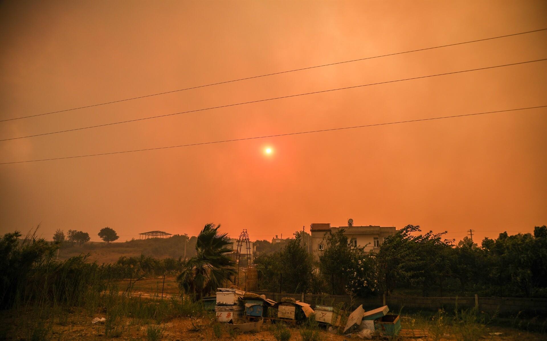Manavgat'taki yangında inanılmaz anlar: Can var abla can