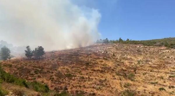 Son dakika! Bodrum ve Milas'ta orman yangını