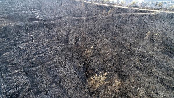 Hatay'da yanan ormanlık alan havadan görüntülendi