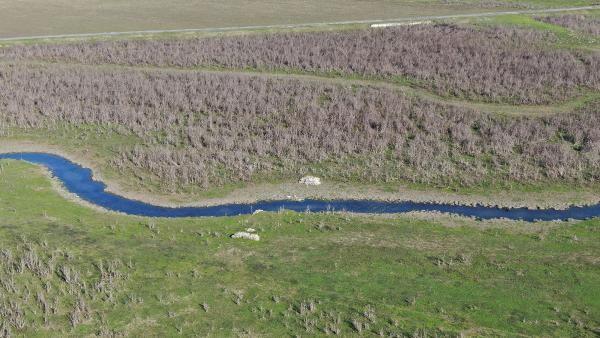 Sazlıdere'de sular çekildi, koyunların otladığı barajda köprü kalıntıları ortaya çıktı