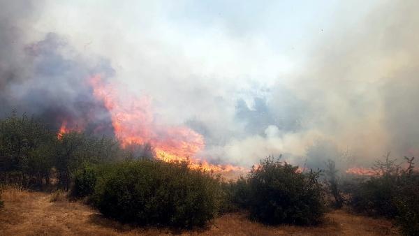 Manisa Kula'daki orman yangını kontrol altına alındı