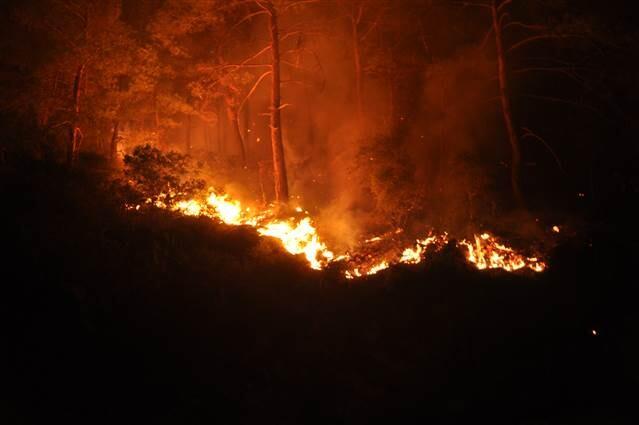 Son dakika... Kahreden haberler gelmeye devam ediyor... İşte Muğla, Antalya, Adana ve Kahramanmaraş'taki yangınlarda son durum