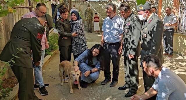 Şehit onbaşı Ahmet Akdal'ın köpeği 'Atmaca' şehidin ailesine verildi... Gözyaşlarına boğuldular