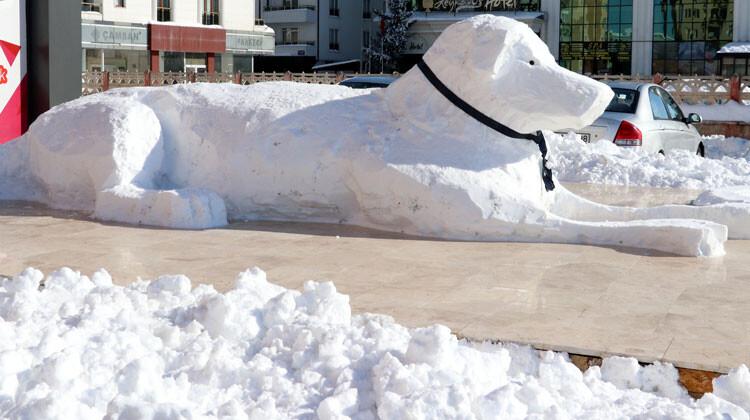 Sivas'ta 5 metrelik kardan kangal köpeği!