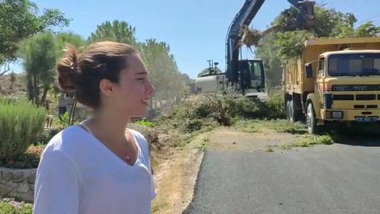 CHP'li belediyenin ağaç katliamını gözyaşlarıyla anlattı