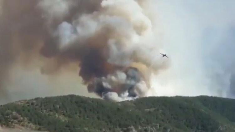 Son dakika haberler... Bakan Pakdemirli: Hatay'da 5 gündür süren orman yangını kontrol altına alındı