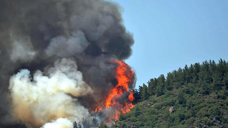 Son dakika... Marmaris'te orman yangını! Vali Tavlı: Çevre illerden yardım geliyor