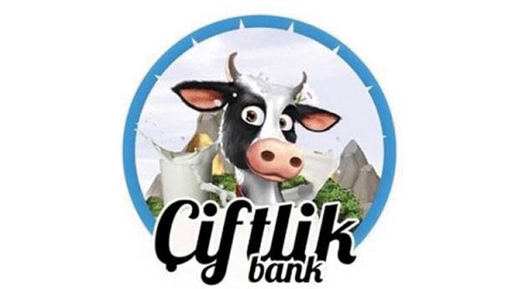 Çiftlik Bank kurucusu Mehmet Aydın Türkiye'ye dönüyor! 'Tosuncuk' neden teslim oldu?