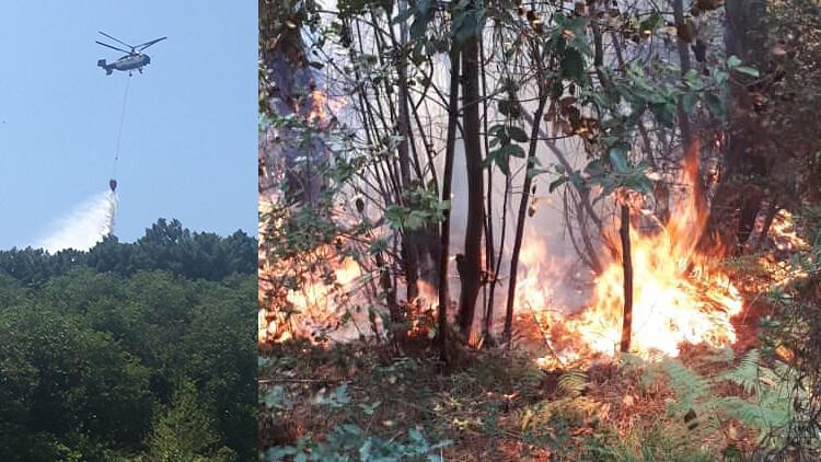 Son dakika: Beykoz'da ormanlık alanda yangın paniği