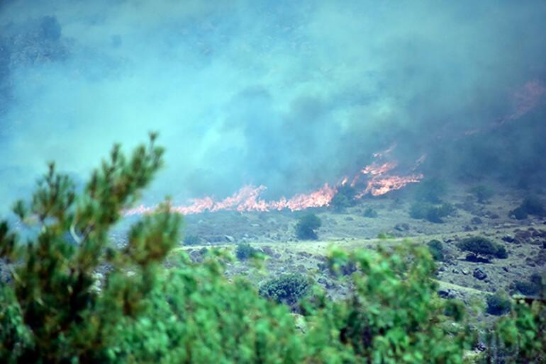 Bodrum'da korkutan yangın! Sitelere doğru ilerliyor