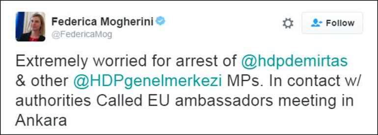 Gözaltına alınan HDPlilerle ilgili Avrupadan ilk tepki